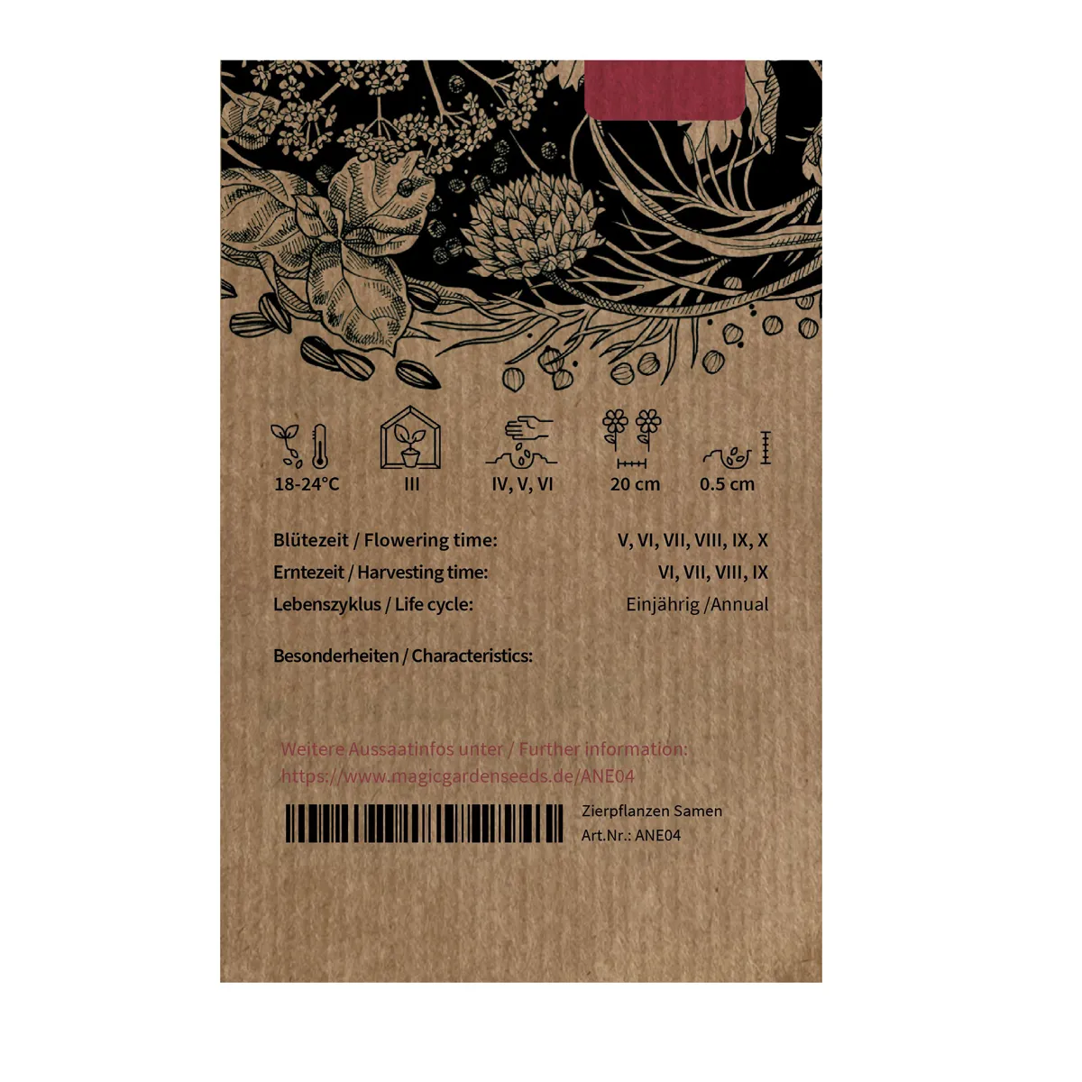 Dill 'Compact' (Anethum graveolens) Samen