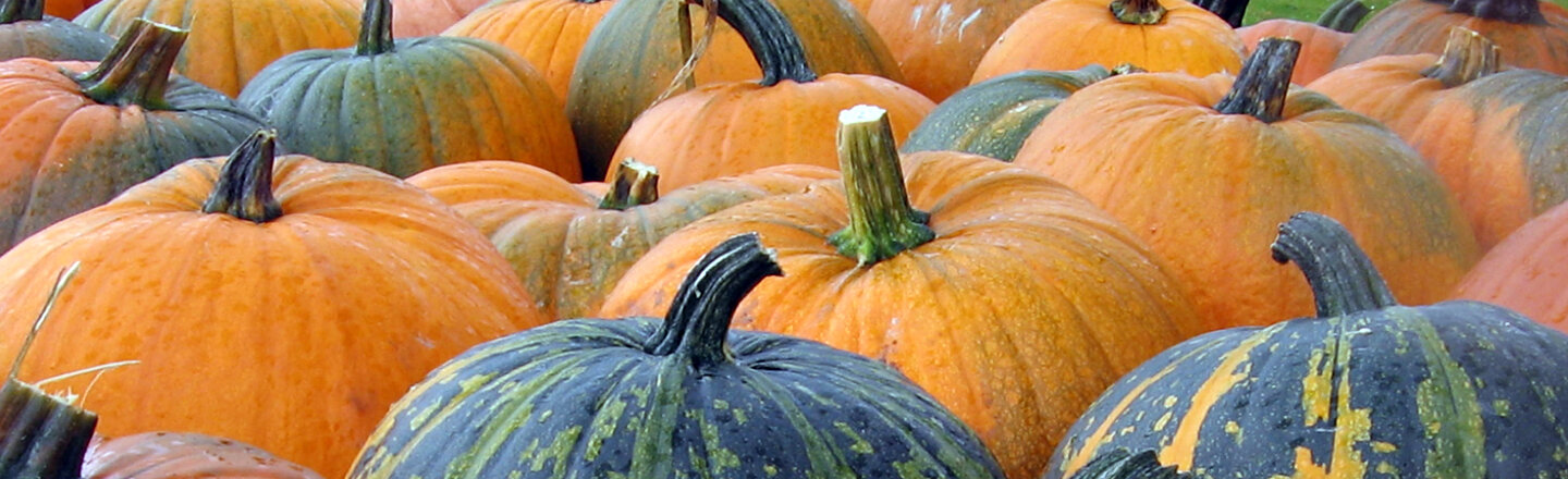 Lots of orange and green pumpkins packed closely together