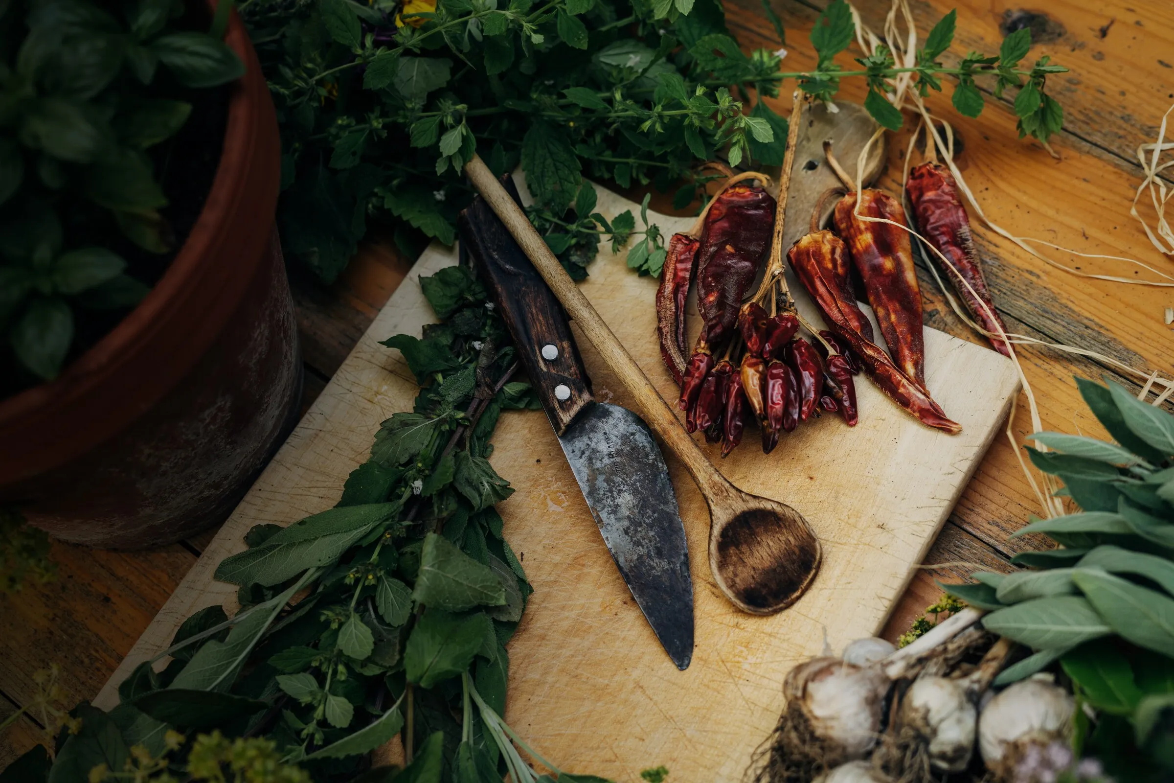 Frische rote Chilis und Kräuter auf einem Schneidebrett