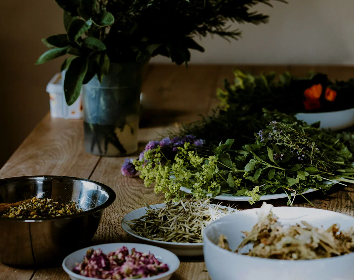 Homeopathy Plants