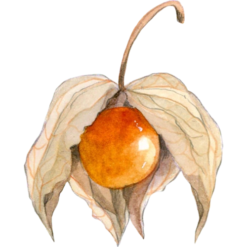 Exotic fruits