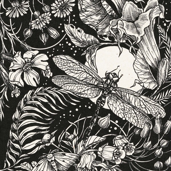 Black and white illustration: dragonfly in front of the full moon among flowers, ferns and a moth