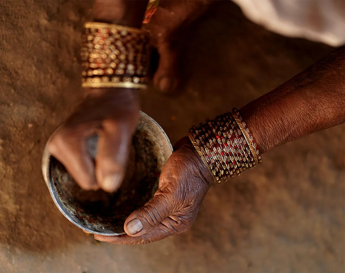Ayurvedic Herbs