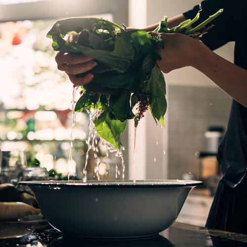 Freshly harvested leafy greens being washed over a bowl of water