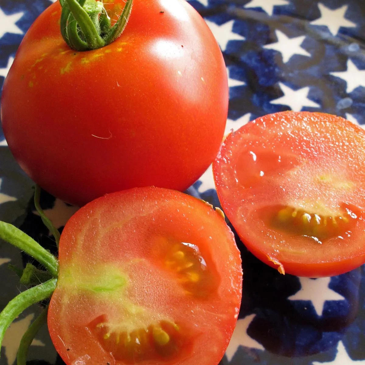 Stabtomate 'Moneymaker' (Solanum lycopersicum) Samen