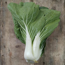 Harvested pak choi with white stalks on a wooden surface