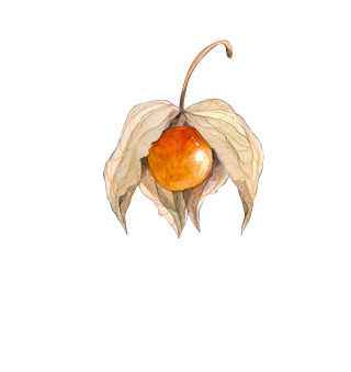 Tropical Plant Seeds