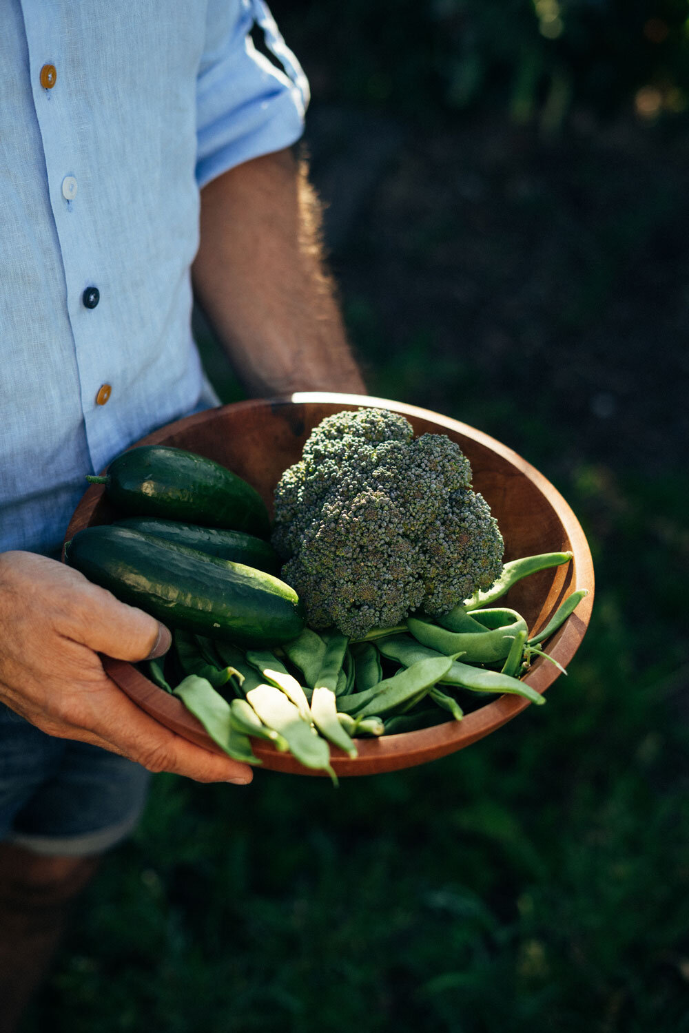 Wooden bowl of freshly picked broccoli, cucumbers and green beans held by a gardener
