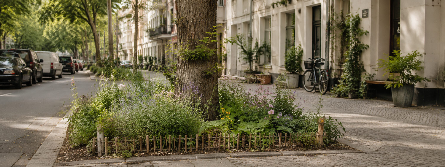 Urban bed planted by residents beneath a street tree