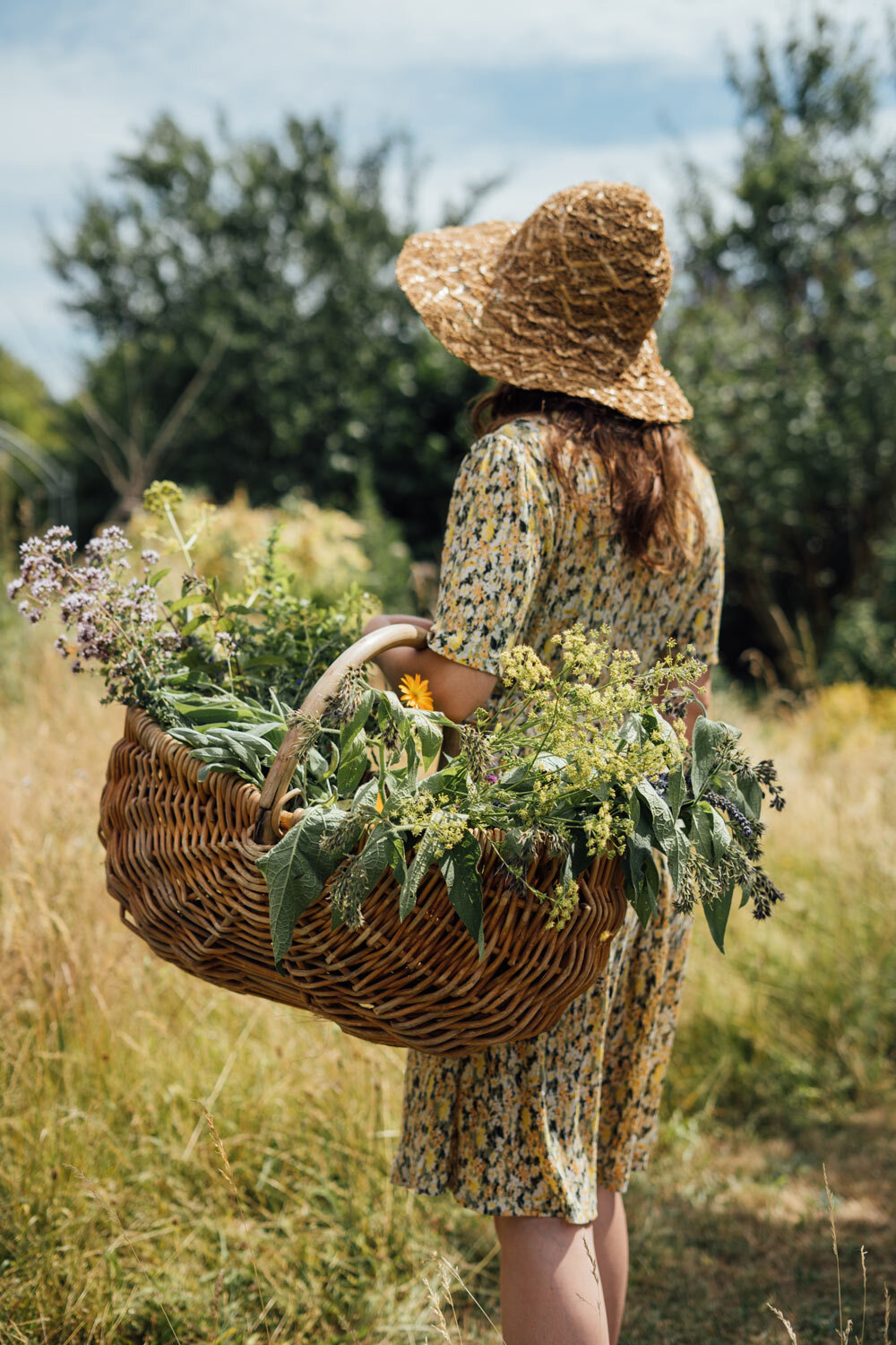 Woman in a straw hat carrying a wicker basket full of freshly picked herbs and flowers