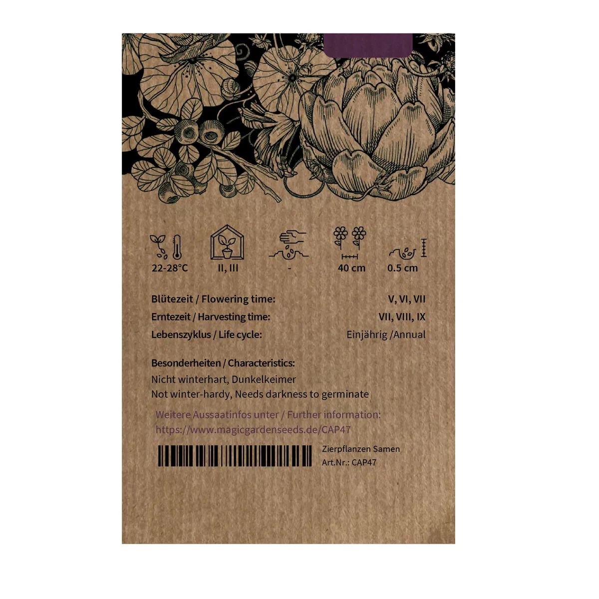Paprika 'Sweet Chocolate' (Capsicum annuum) Samen