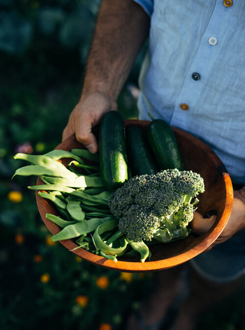 Wooden bowl of freshly harvested summer vegetables: flat green beans, courgettes and broccoli