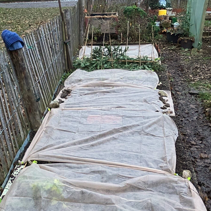Vegetable bed in winter, covered with horticultural fleece against the cold
