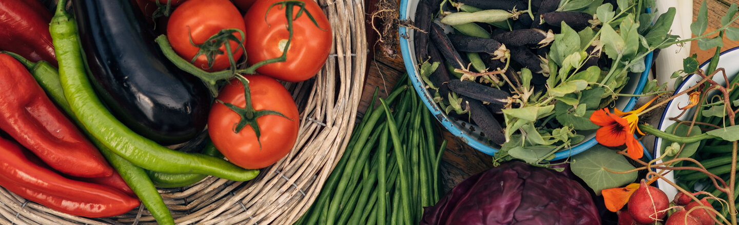 Freshly harvested vegetables, nicely arranged on a table
