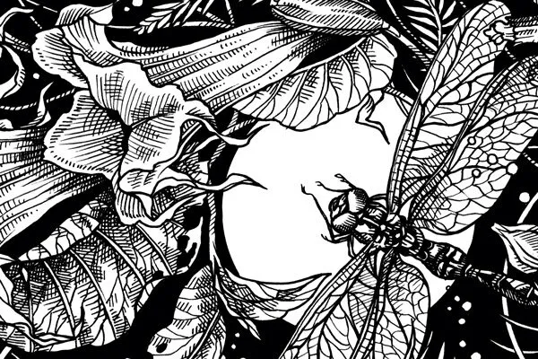 Illustration of a moth among night-flowering plants