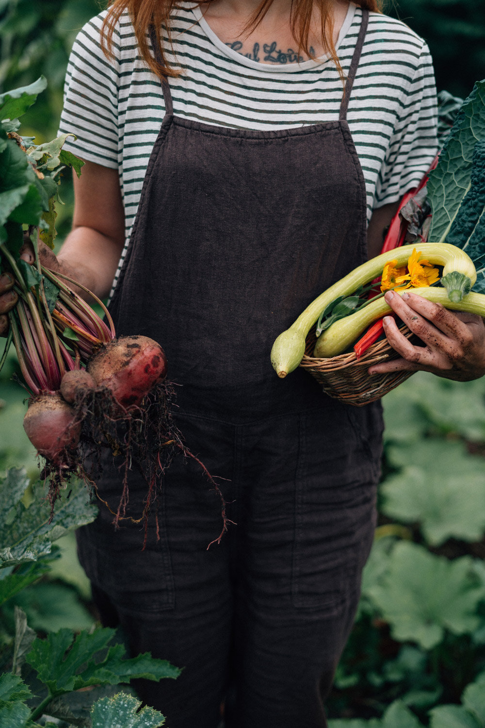 Gardener holding freshly harvested vegetables: beets with leaves in one hand, a full basket in the other