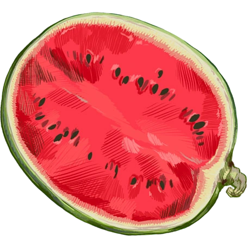 Melons