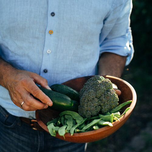 Wooden bowl of freshly harvested broccoli, cucumbers and green pods