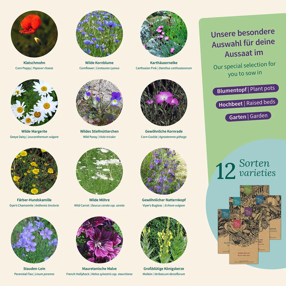 Blumen-Wiese: Bunte Wildblumen für Bienen, Garten & Balkon – Samenset Nr. 28