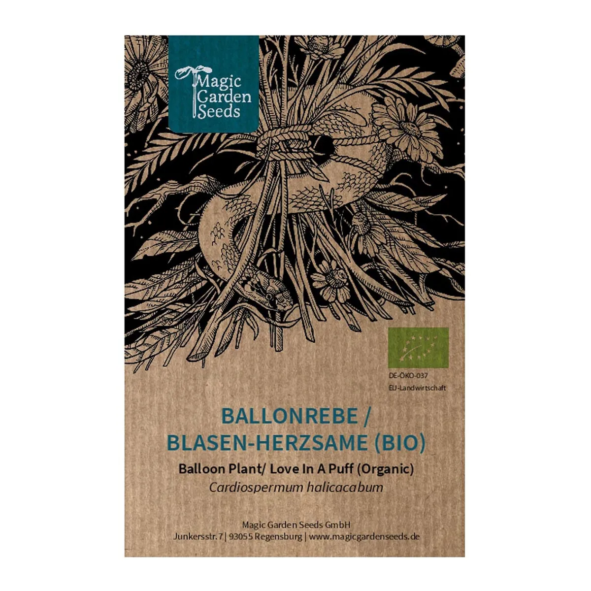 Ballonrebe / Blasen-Herzsame (Cardiospermum halicacabum) Bio Saatgut