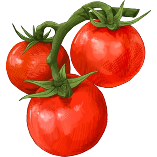 Tomatoes