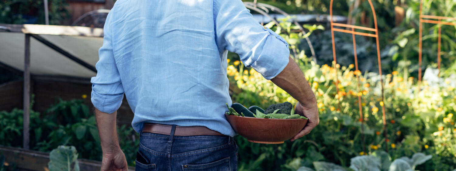 Gardener carrying a bowl of freshly harvested leafy greens through the vegetable garden