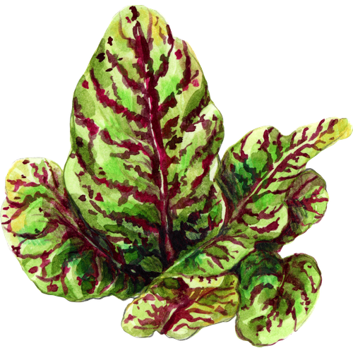 Leaf Greens