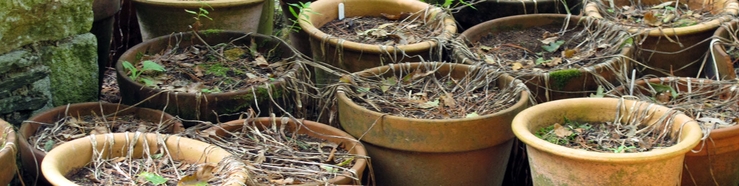 Empty flower pots waiting for new plants