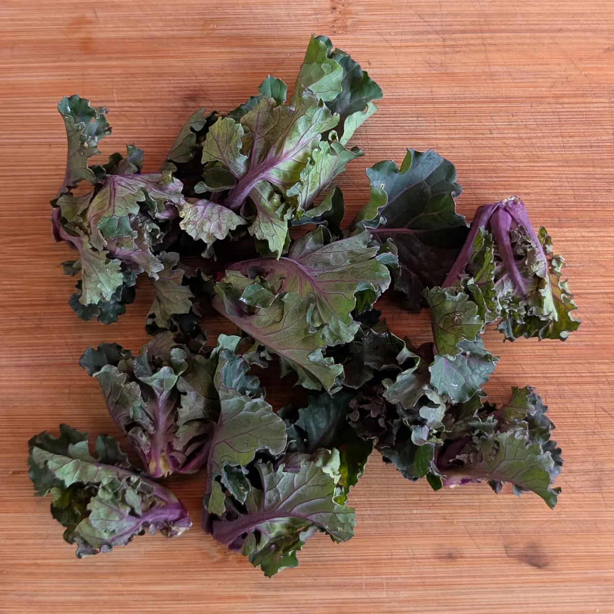 Kohlröschen (Brassica oleracea var. gemmifera x sabellica) Samen