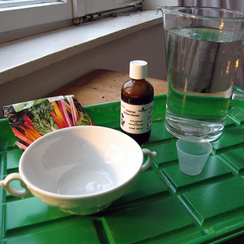 Preparing a seed soak: bowl, valerian flower extract, water jug, measuring cup and seed packet