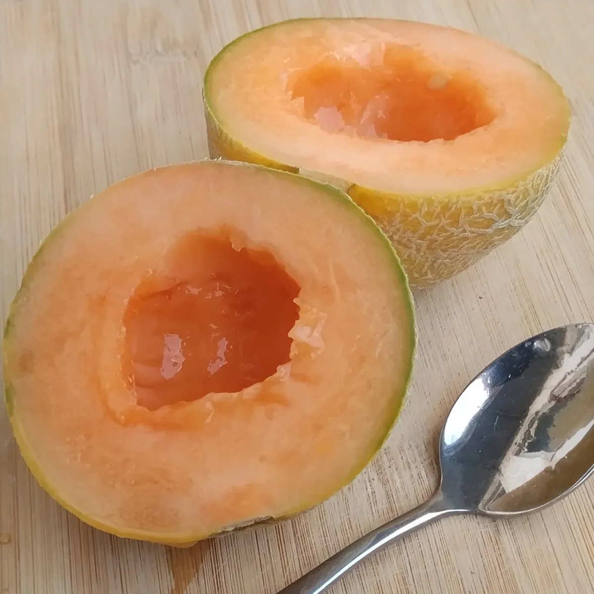 Honigmelone 'Minnesota Midget' (Cucumis melo) Samen