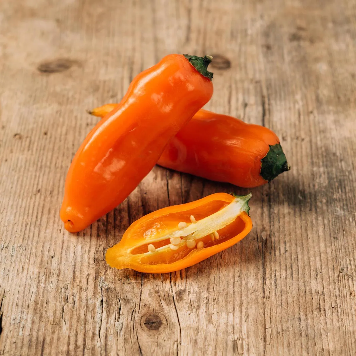 Gewürz-Chili 'Aji Amarillo' (Capsicum baccatum) Samen