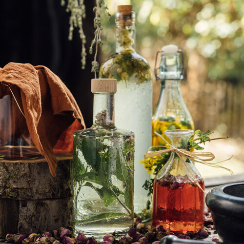 Herbs and flowers preserved in vinegar and oil in glass bottles