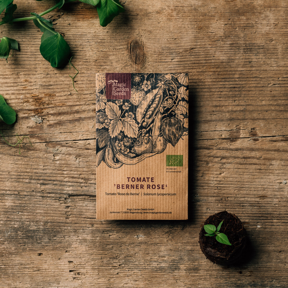 Front of a seed packet with illustration, organic logo and name: Tomato 'Berner Rose' (Solanum lycopersicum)