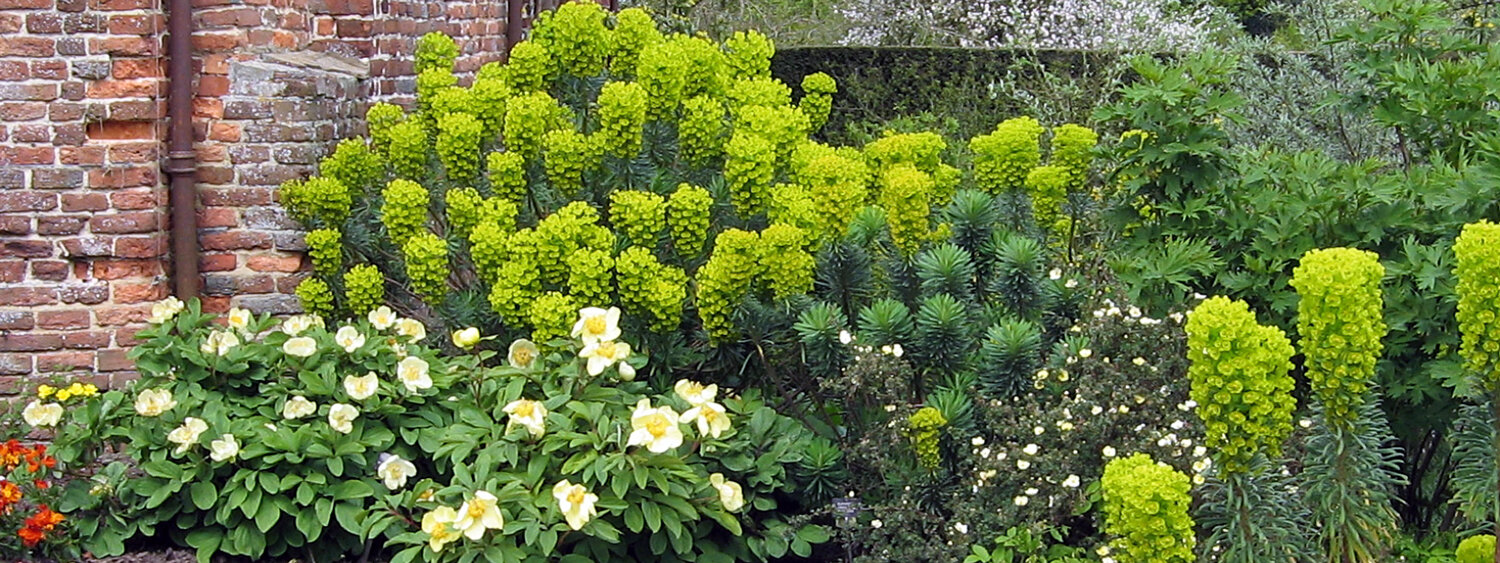 Perennial border at Sissinghurst