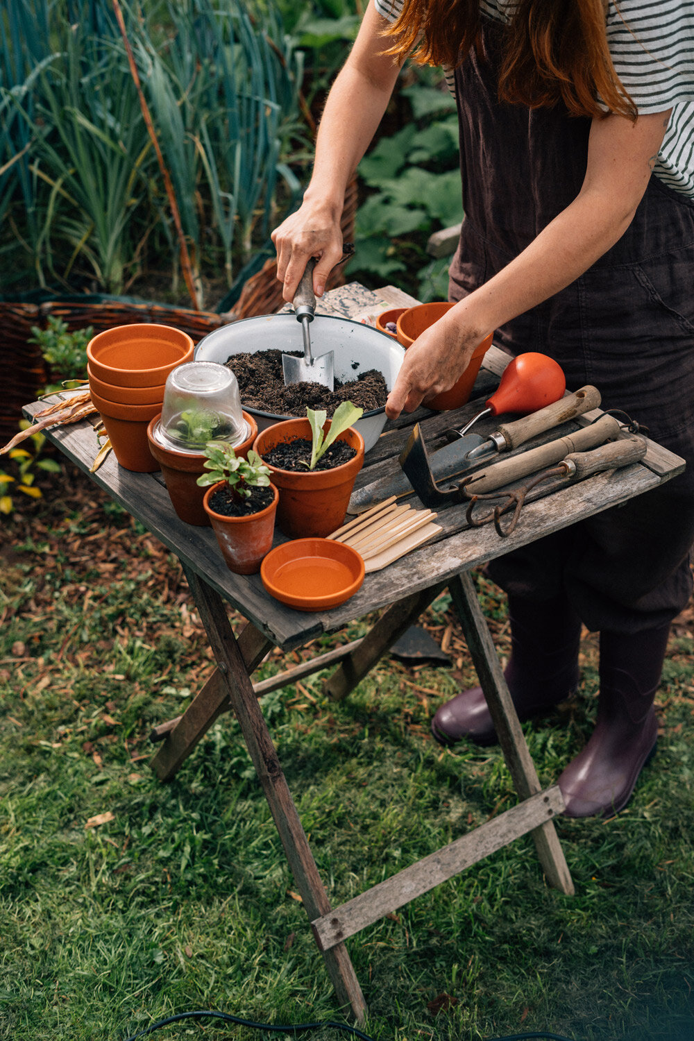 Gardener filling small terracotta pots with compost for sowing at a garden table