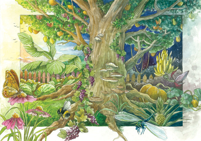 Illustration of a magical garden: fruit tree under a day and night sky, flowers, a bumblebee and a dragonfly