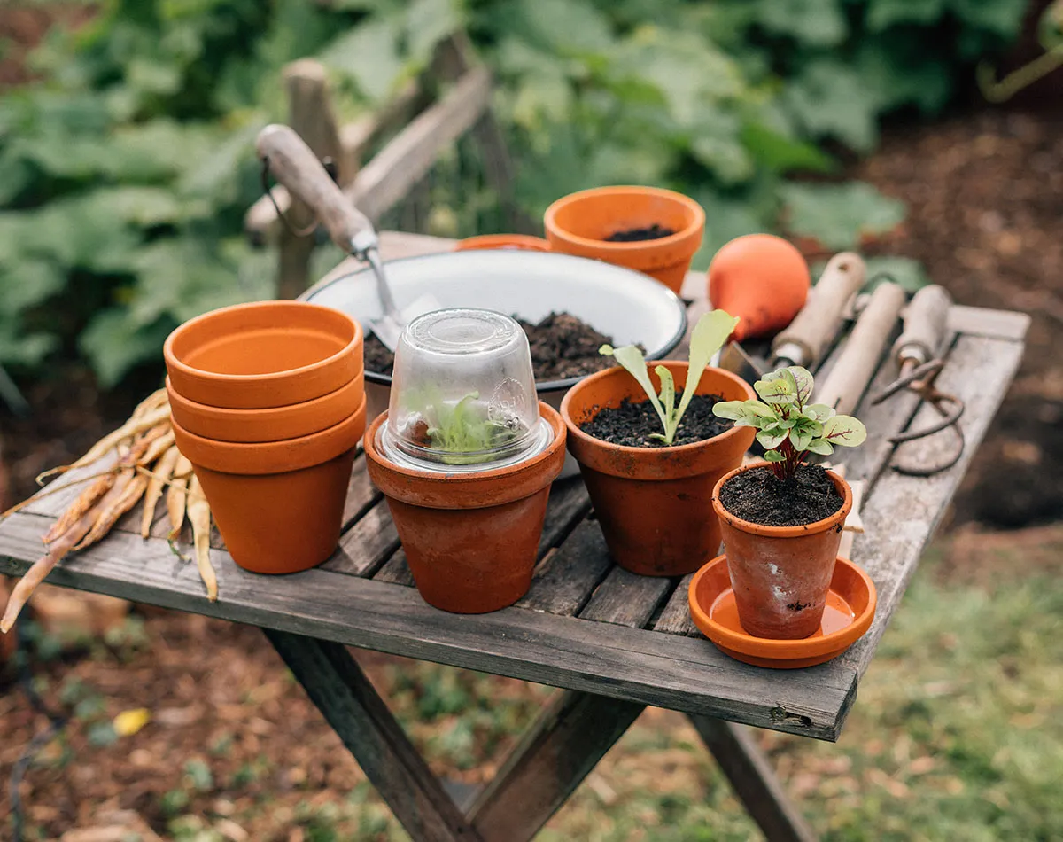 How to sow seeds