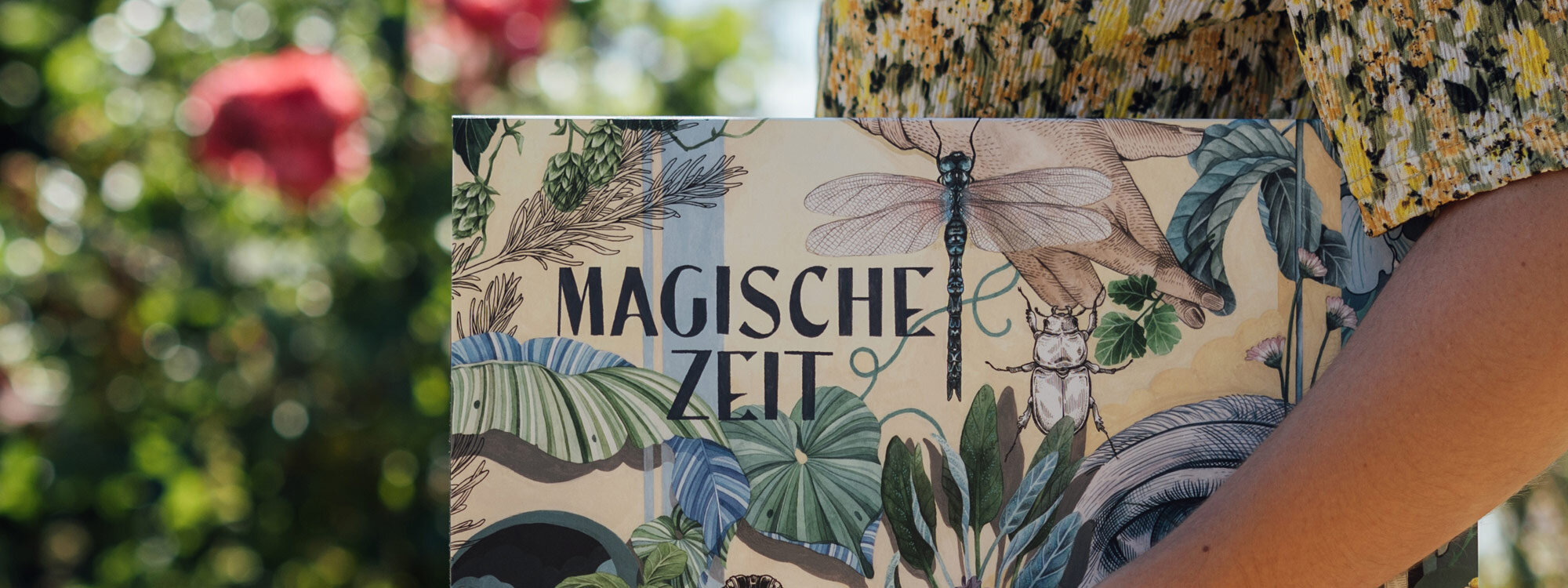 Box of the organic seed advent calendar “Magical Time” Wondrous World of Herbs with a dragonfly and a beetle