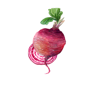 Vegetable seeds