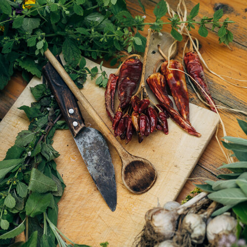 Dried chillies, fresh herbs and garlic on a wooden board with a knife and wooden spoon