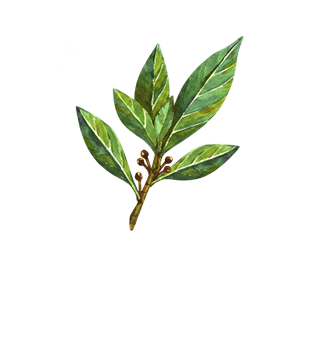 Tree & shrub seeds