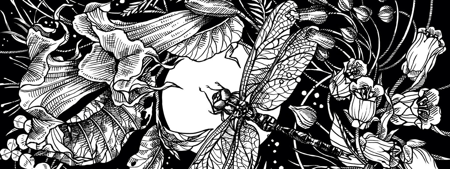 Illustration of a moon garden