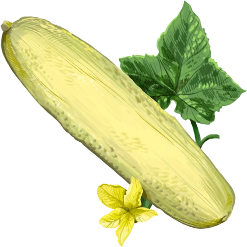 Cucumbers
