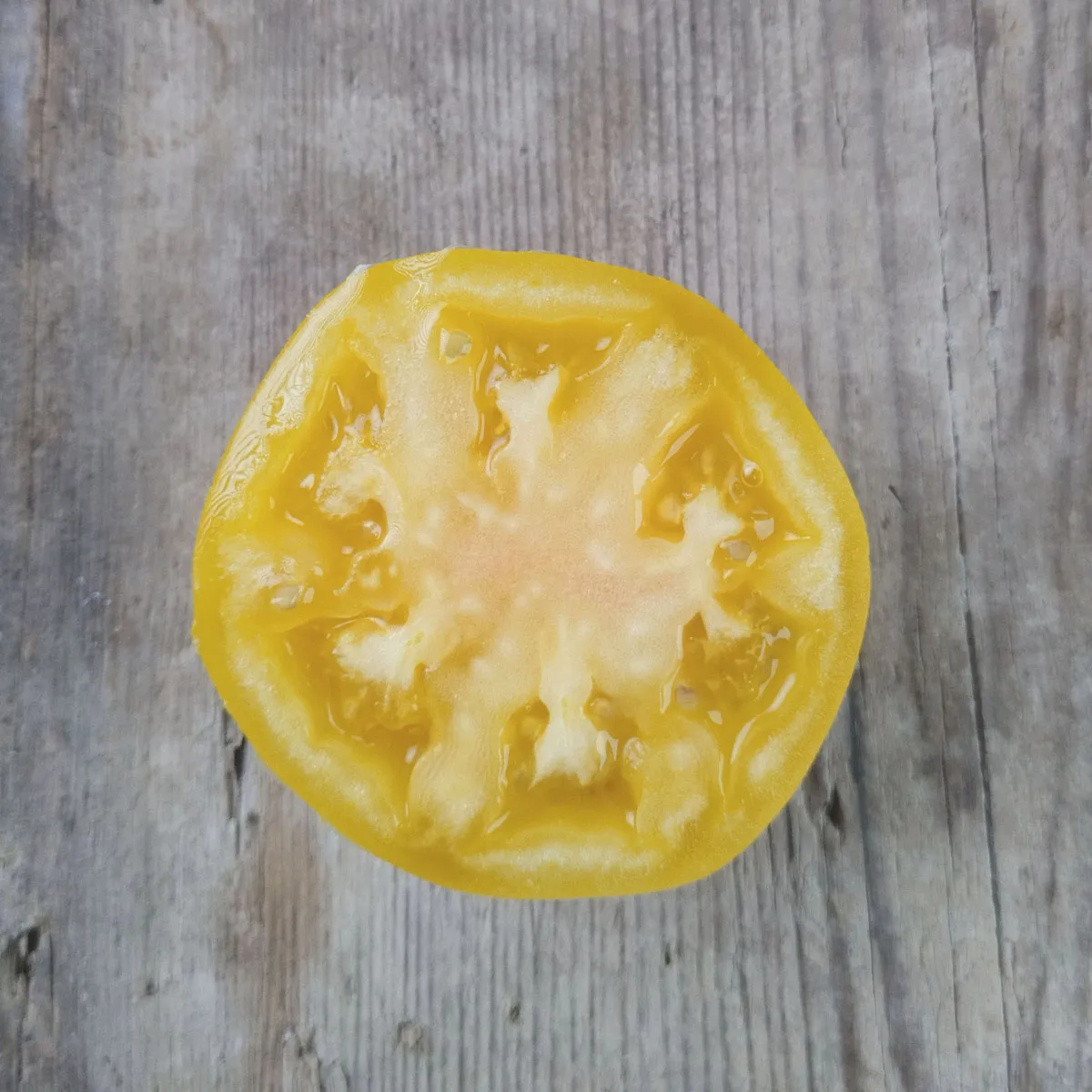 Tomate 'Mirabelle Blanche' (Solanum lycopersicum) Samen
