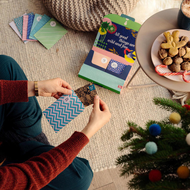 Person opening a seed packet from the seed advent calendar, with biscuits and a Christmas tree nearby