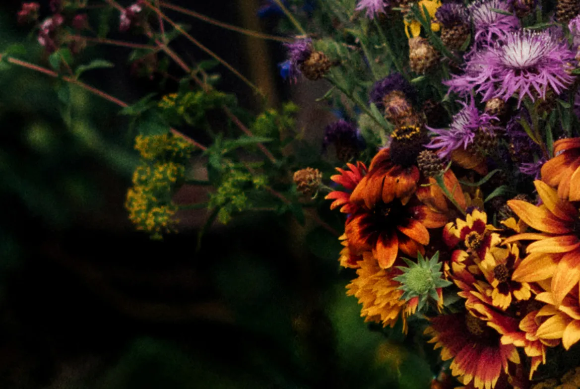 Colourful bouquet of coneflowers, knapweeds and wildflowers