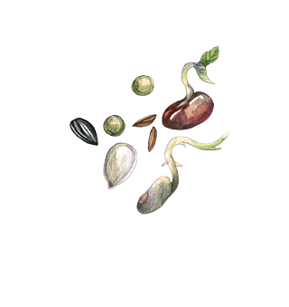 Seeds A-Z