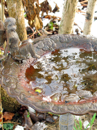Ornate birdbath with a figure and water in the winter garden