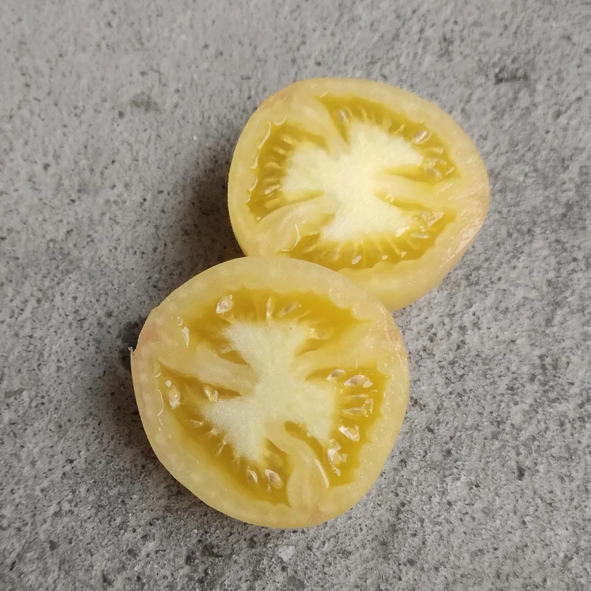Pfirsich-Tomate 'Wapsipinicon Peach' (Solanum lycopersicum) Samen
